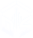 DataSheds